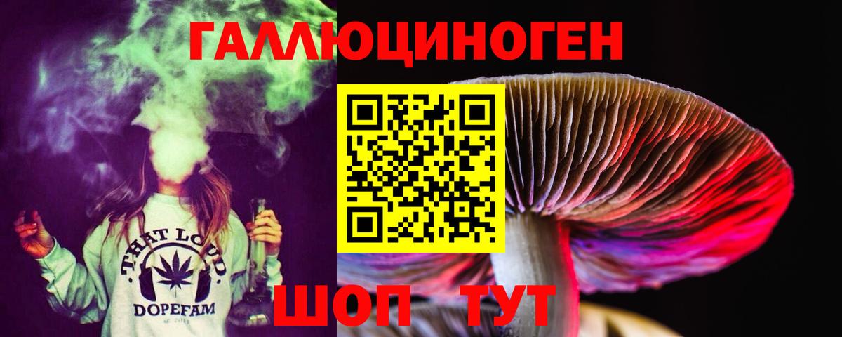 Железногорск  Галлюциногенные грибы Psilocybe  Вход с VPN 