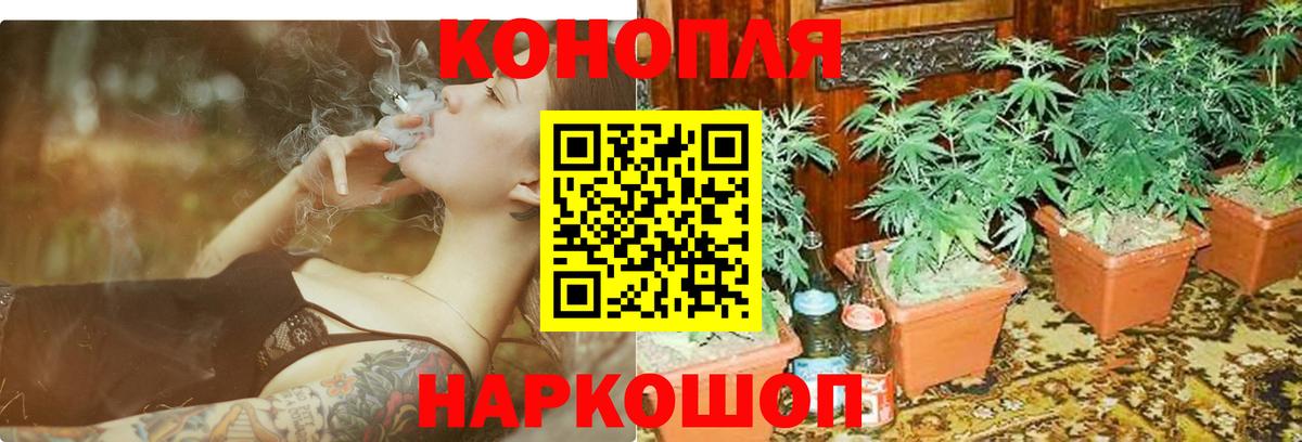 Железногорск  Бошки марихуана AK-47  МАРИХУАНА SATIVA & INDICA  Вход с VPN  Бошки Шишки план 